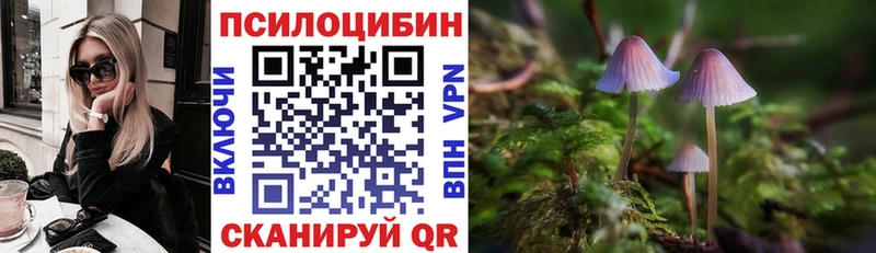 Галлюциногенные грибы Psilocybe  Вязьма 